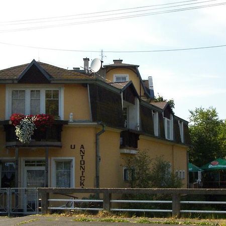 Penzion U Antonickova Pramene Mariënbad Buitenkant foto